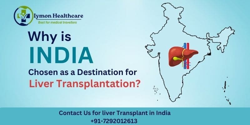 top liver transplant in india